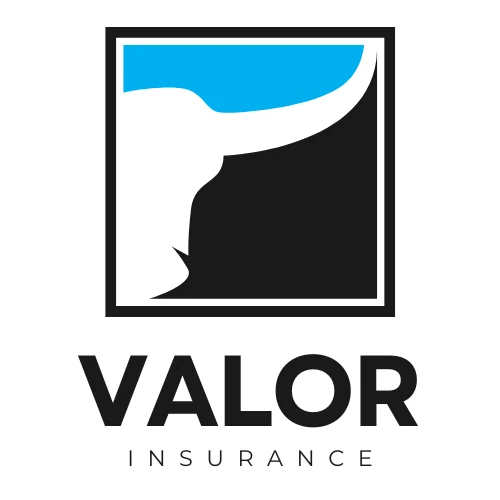 Valor Insurance logo