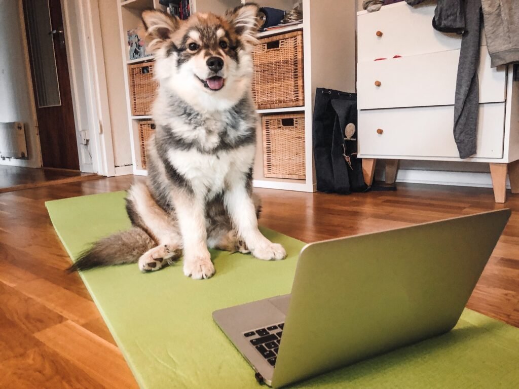 stuart iowa social media management