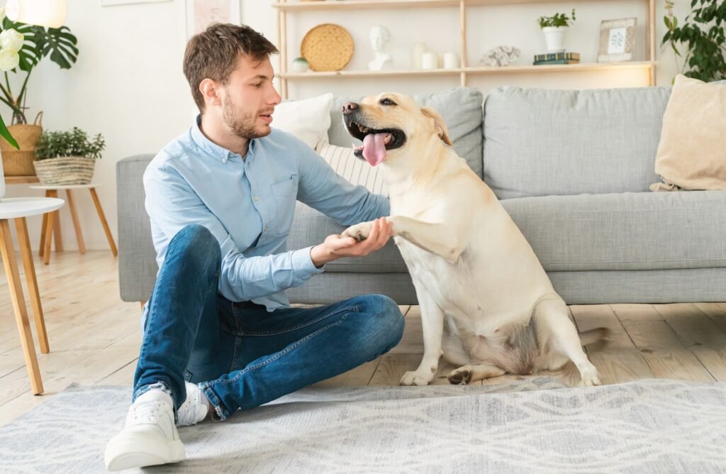 seo services iowa search engine optimization