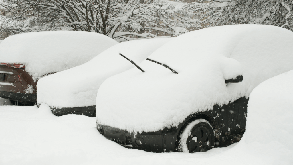 snowed out small business saturday promotions